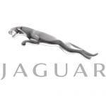 Удалить сажевый фильтр Jaguar